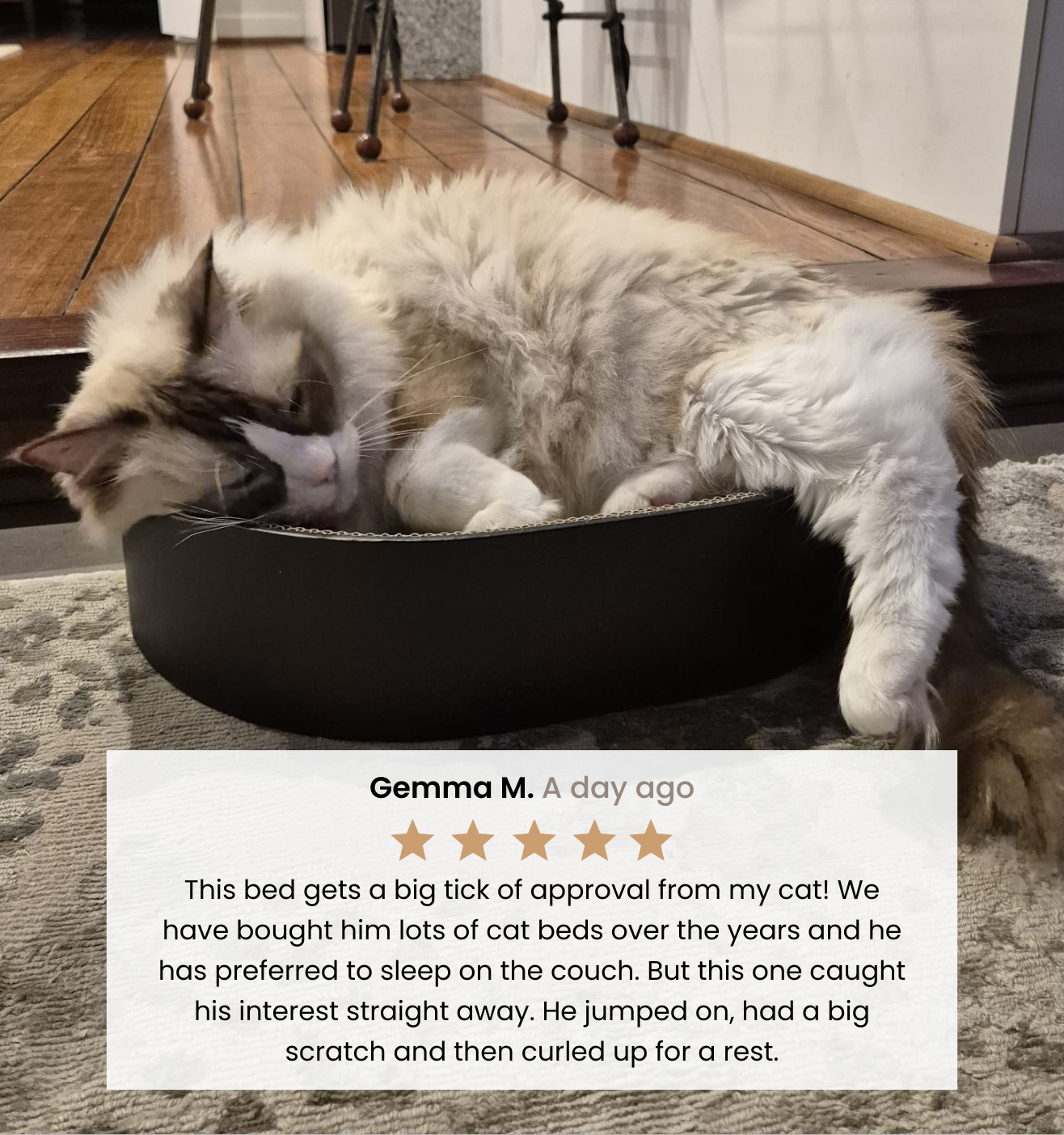 The Cat Nest