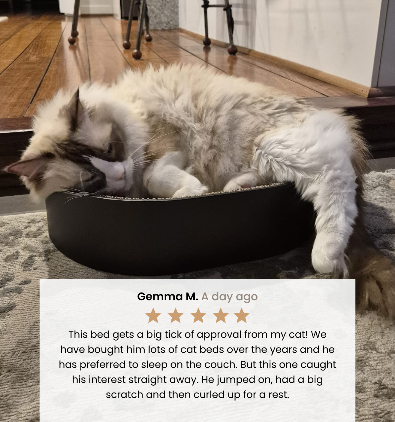 The Cat Nest