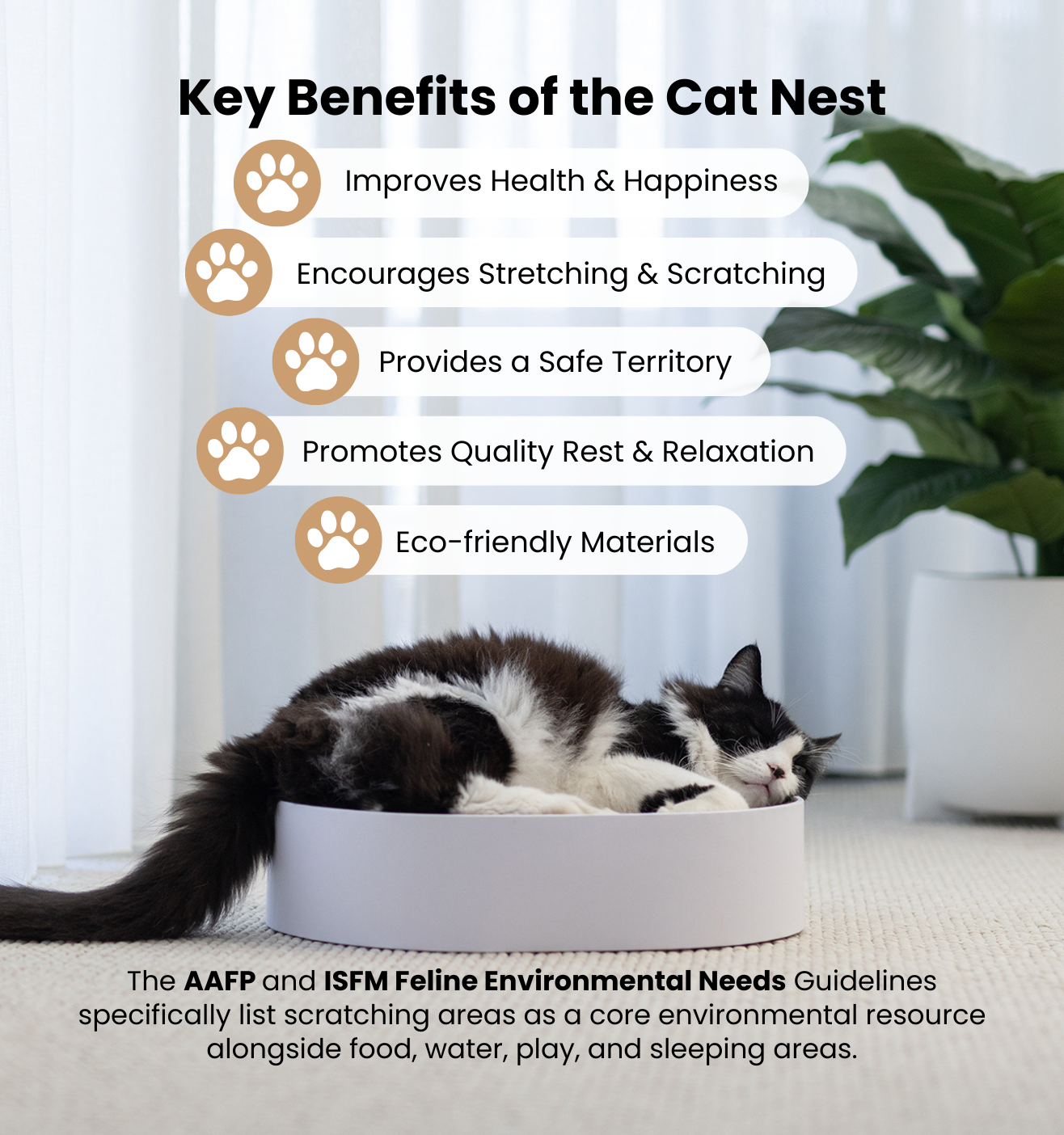The Cat Nest