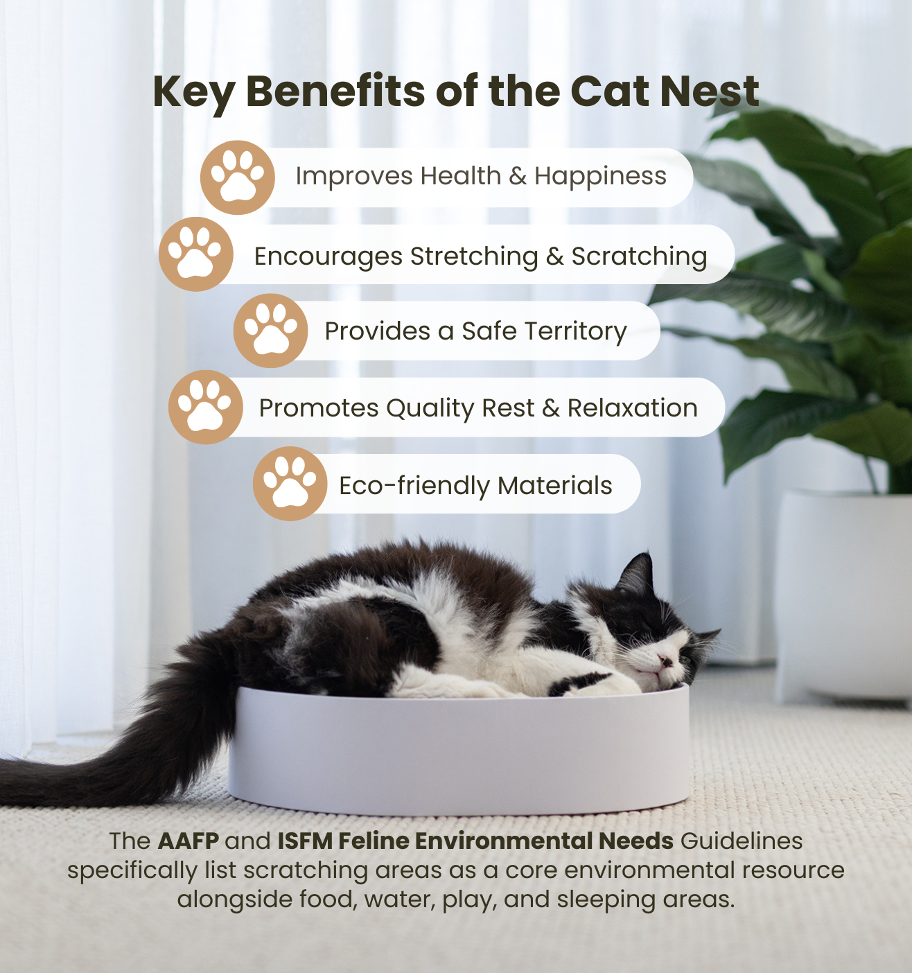 The Cat Nest