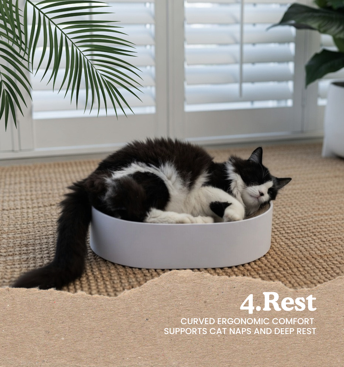 The Cat Nest