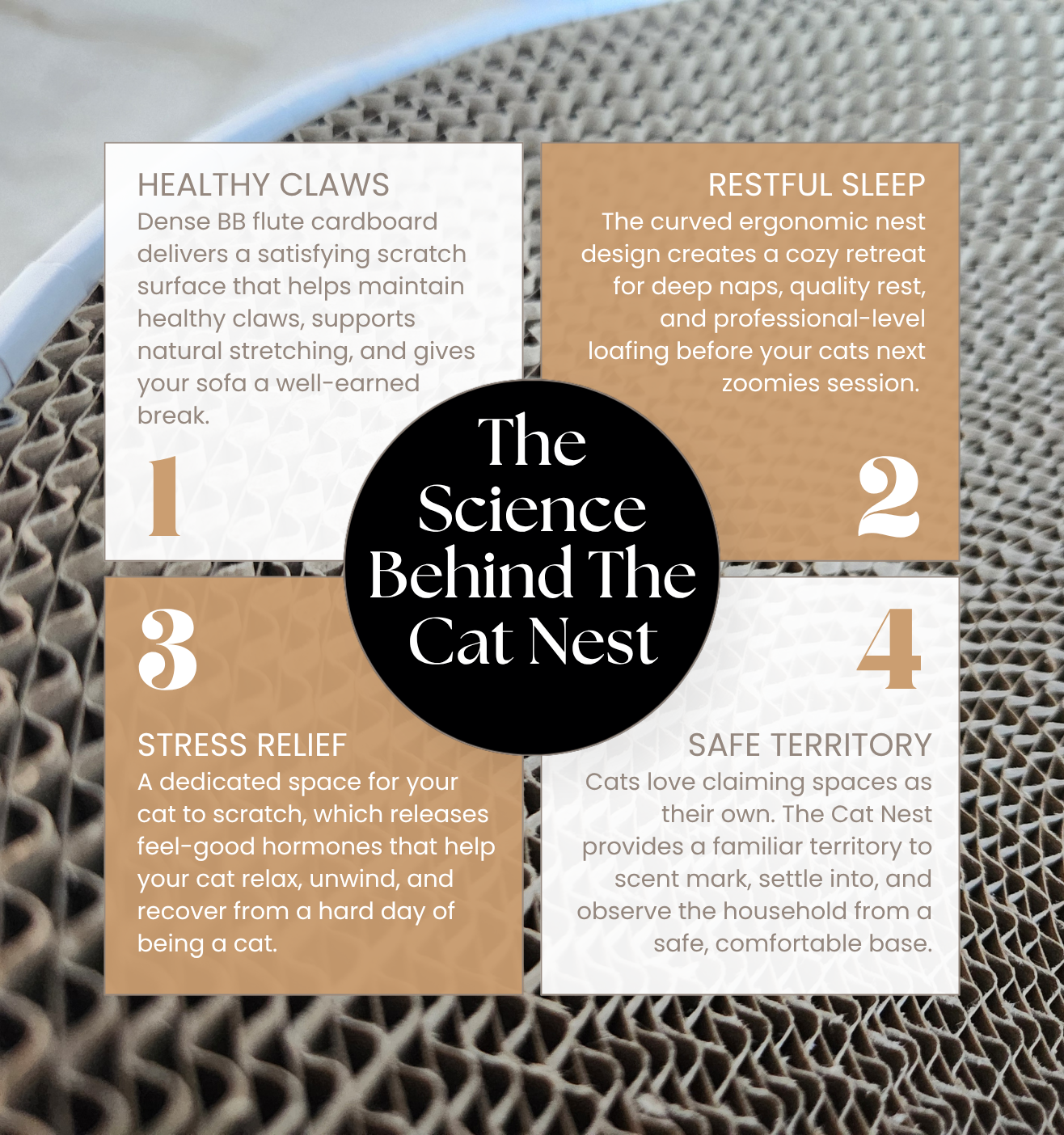 The Cat Nest