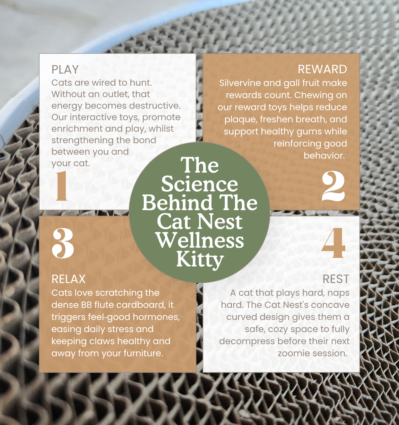 The Cat Nest