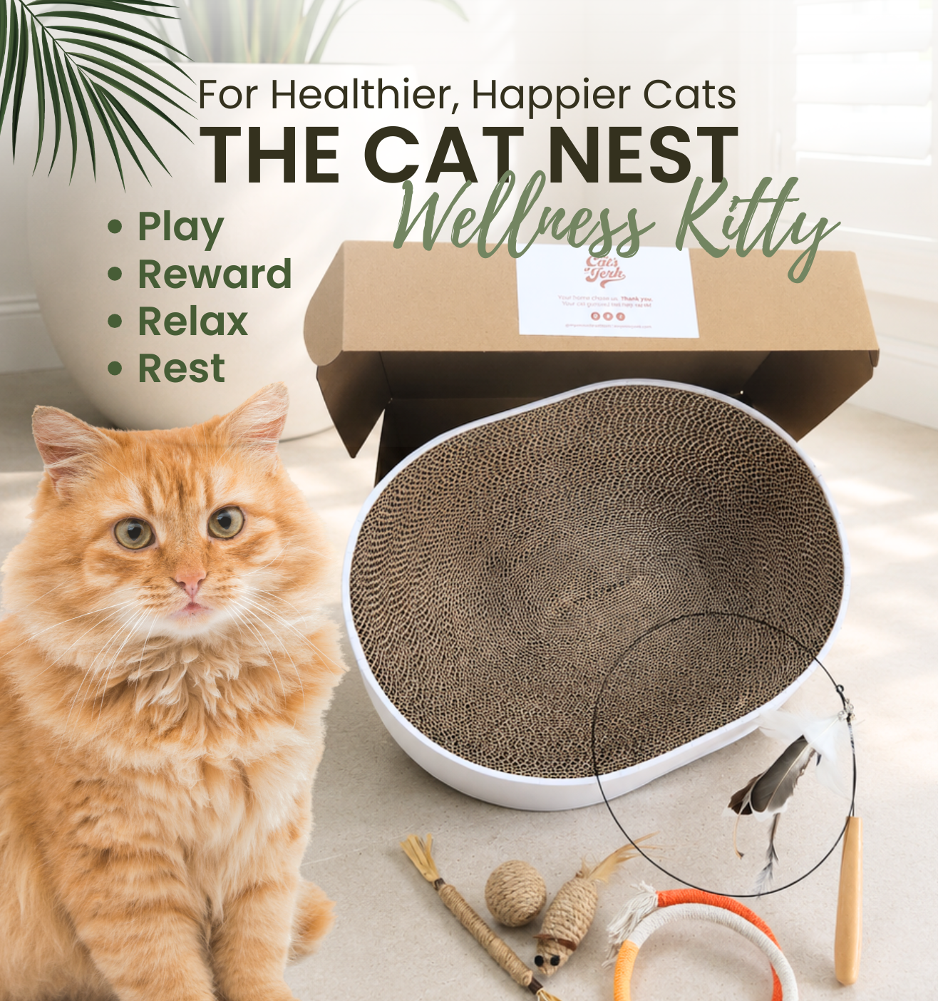 The Cat Nest