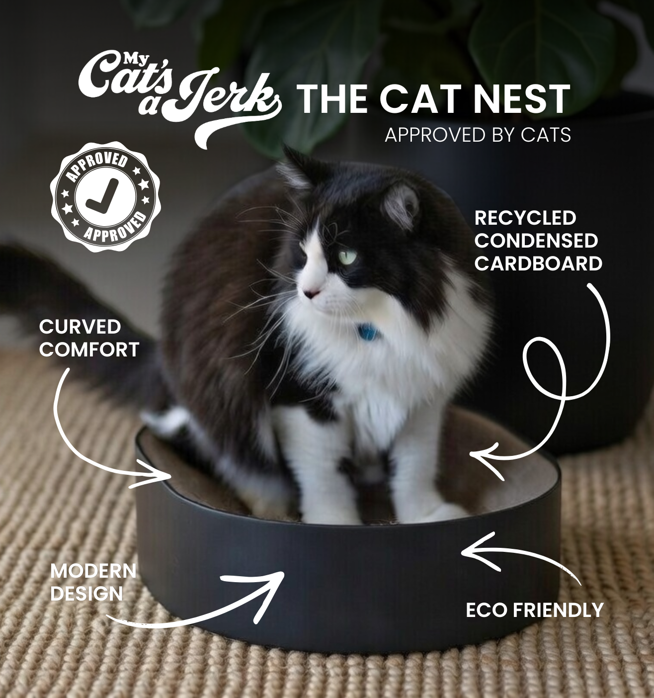 The Cat Nest